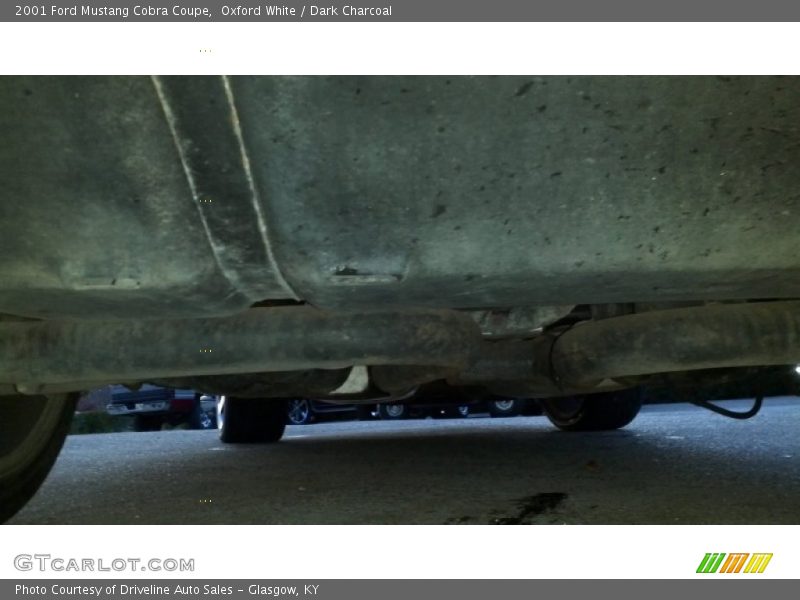 Oxford White / Dark Charcoal 2001 Ford Mustang Cobra Coupe