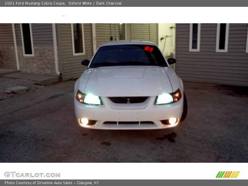 Oxford White / Dark Charcoal 2001 Ford Mustang Cobra Coupe