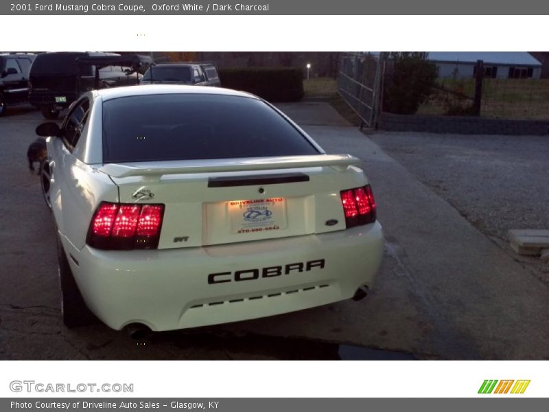 Oxford White / Dark Charcoal 2001 Ford Mustang Cobra Coupe