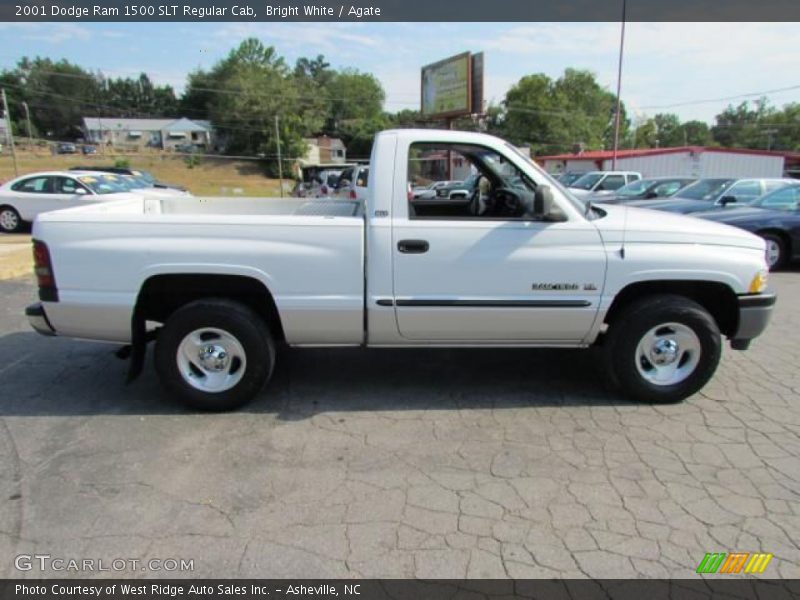 Bright White / Agate 2001 Dodge Ram 1500 SLT Regular Cab