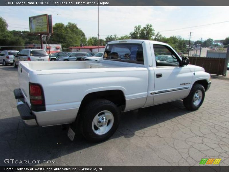 Bright White / Agate 2001 Dodge Ram 1500 SLT Regular Cab