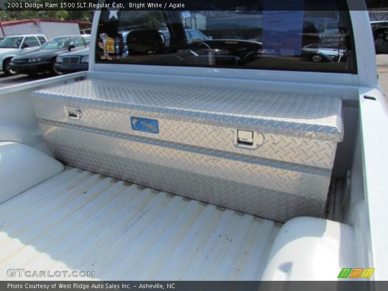 Bright White / Agate 2001 Dodge Ram 1500 SLT Regular Cab