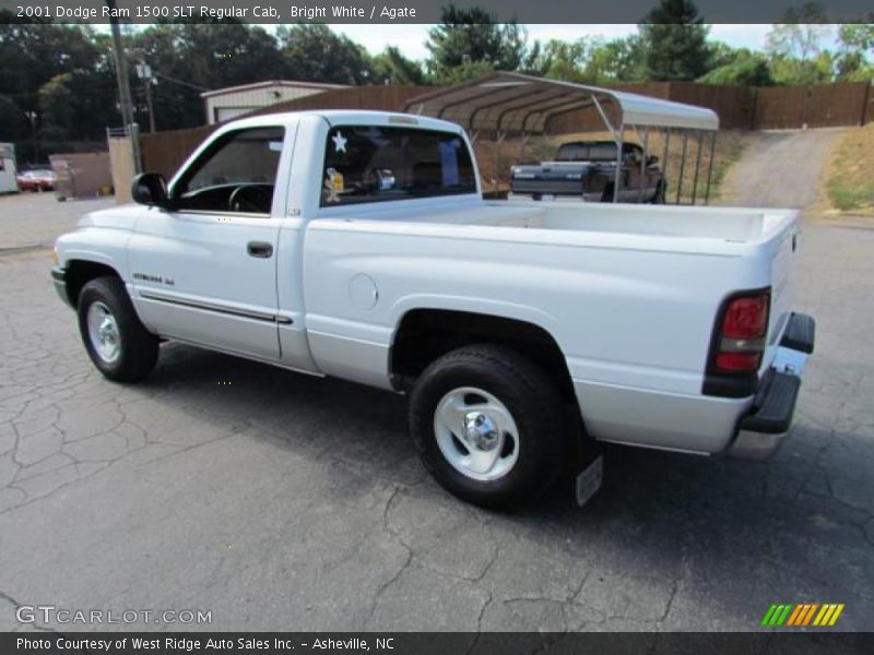 Bright White / Agate 2001 Dodge Ram 1500 SLT Regular Cab