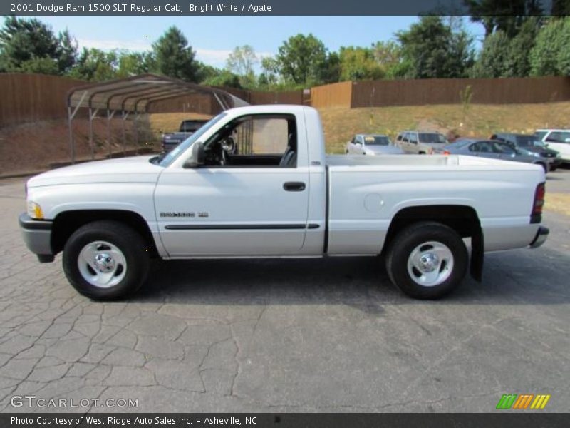 Bright White / Agate 2001 Dodge Ram 1500 SLT Regular Cab