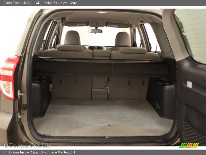 Pyrite Mica / Ash Gray 2009 Toyota RAV4 4WD