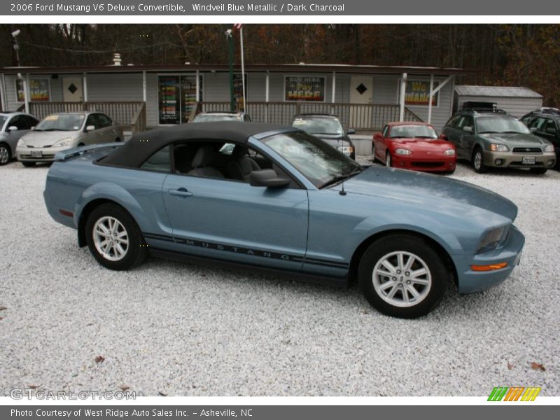 Windveil Blue Metallic / Dark Charcoal 2006 Ford Mustang V6 Deluxe Convertible