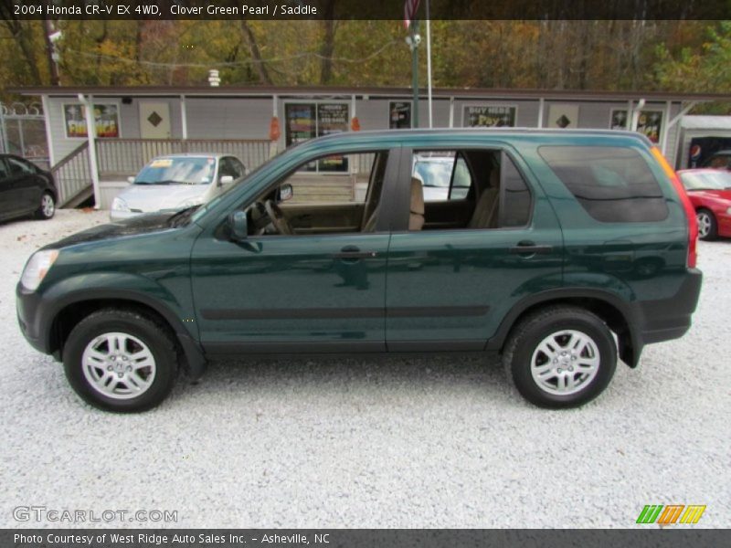 Clover Green Pearl / Saddle 2004 Honda CR-V EX 4WD