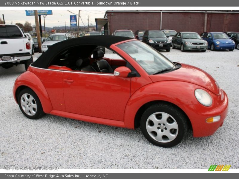  2003 New Beetle GLS 1.8T Convertible Sundown Orange