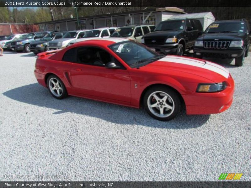 Performance Red / Dark Charcoal 2001 Ford Mustang Cobra Coupe