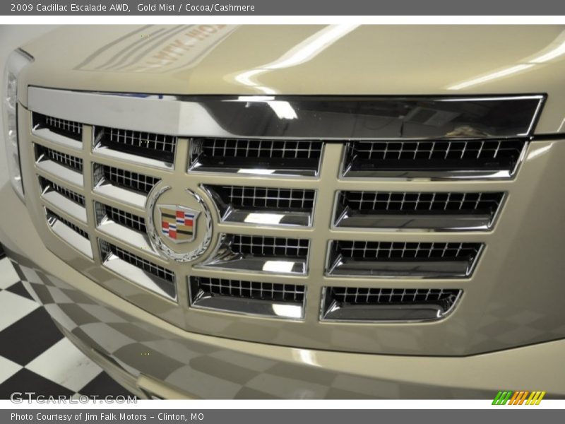 Gold Mist / Cocoa/Cashmere 2009 Cadillac Escalade AWD
