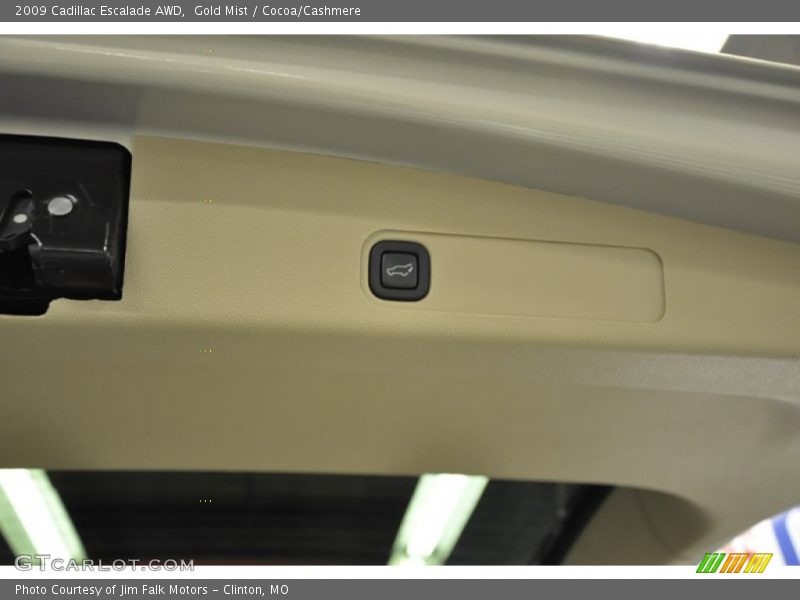 Gold Mist / Cocoa/Cashmere 2009 Cadillac Escalade AWD