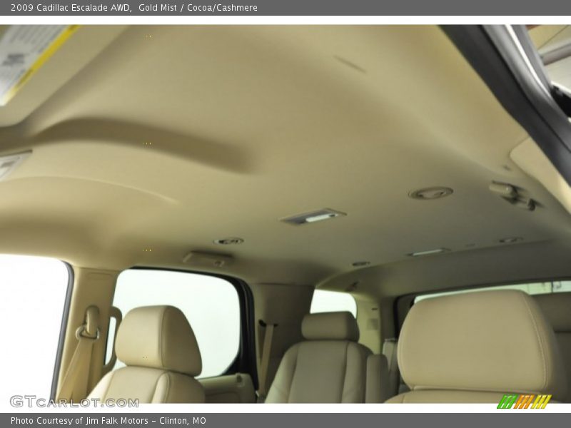 Gold Mist / Cocoa/Cashmere 2009 Cadillac Escalade AWD