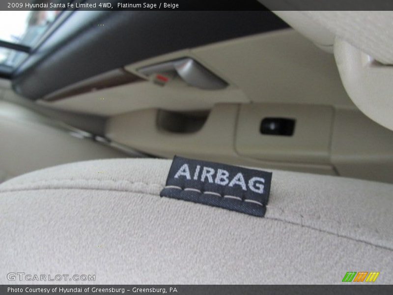 Platinum Sage / Beige 2009 Hyundai Santa Fe Limited 4WD