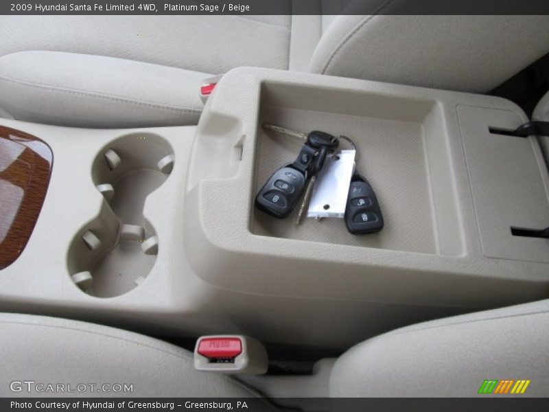 Platinum Sage / Beige 2009 Hyundai Santa Fe Limited 4WD