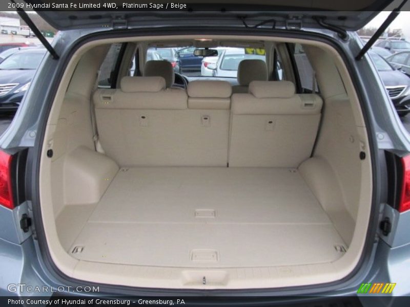 Platinum Sage / Beige 2009 Hyundai Santa Fe Limited 4WD