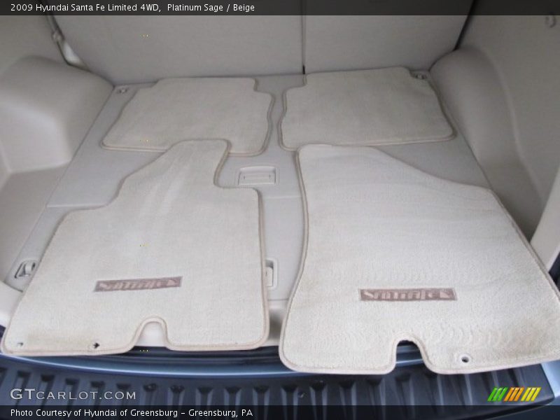 Platinum Sage / Beige 2009 Hyundai Santa Fe Limited 4WD