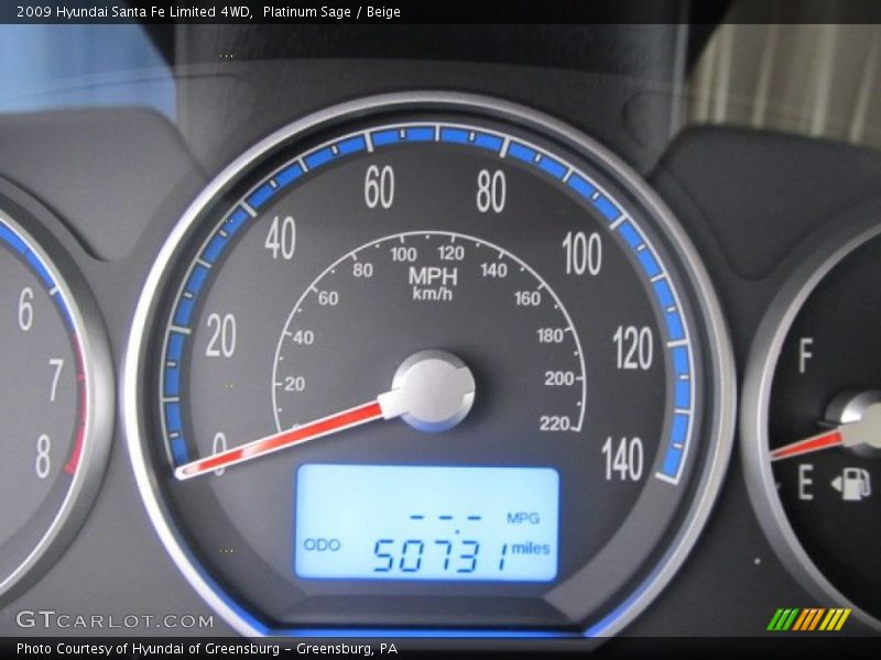 Platinum Sage / Beige 2009 Hyundai Santa Fe Limited 4WD