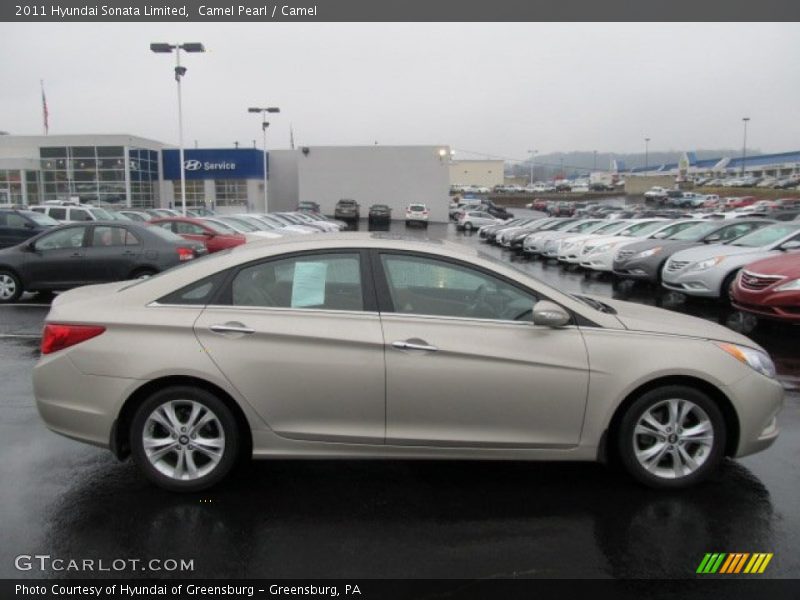 Camel Pearl / Camel 2011 Hyundai Sonata Limited