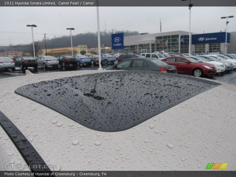 Camel Pearl / Camel 2011 Hyundai Sonata Limited