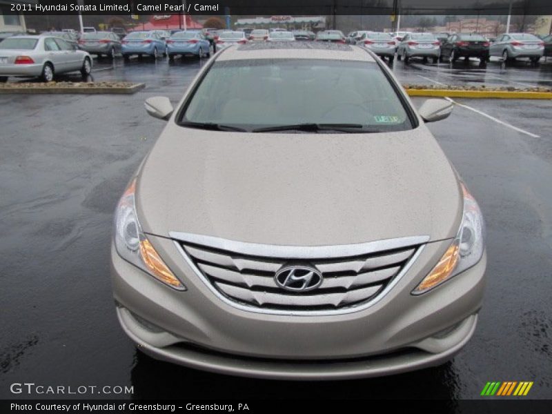 Camel Pearl / Camel 2011 Hyundai Sonata Limited