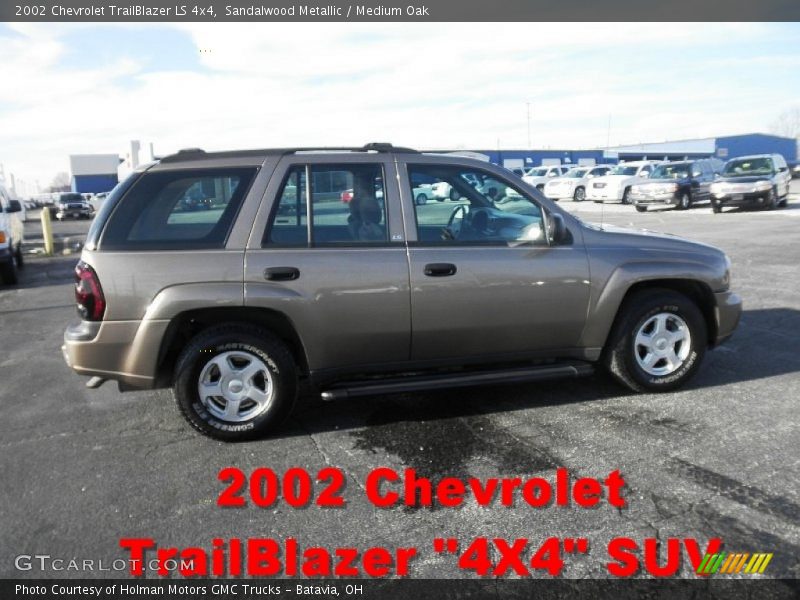 Sandalwood Metallic / Medium Oak 2002 Chevrolet TrailBlazer LS 4x4