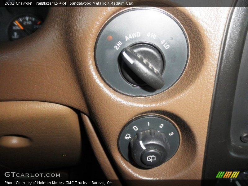 Sandalwood Metallic / Medium Oak 2002 Chevrolet TrailBlazer LS 4x4