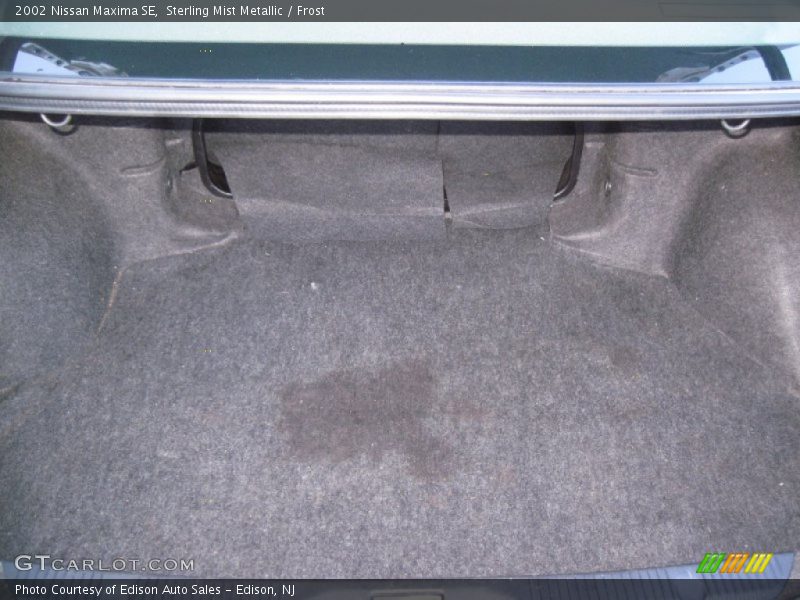 Sterling Mist Metallic / Frost 2002 Nissan Maxima SE