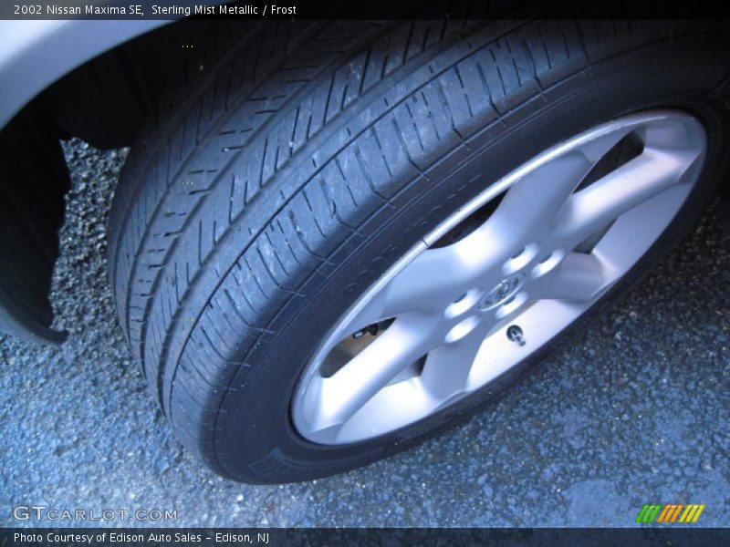 Sterling Mist Metallic / Frost 2002 Nissan Maxima SE