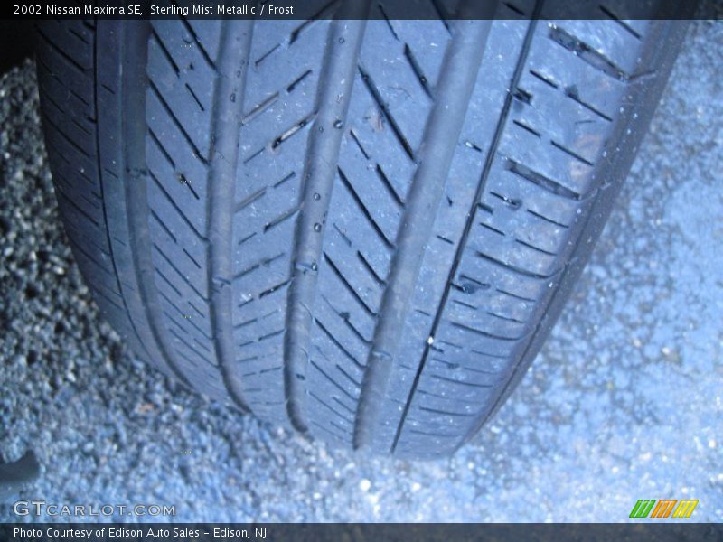 Sterling Mist Metallic / Frost 2002 Nissan Maxima SE