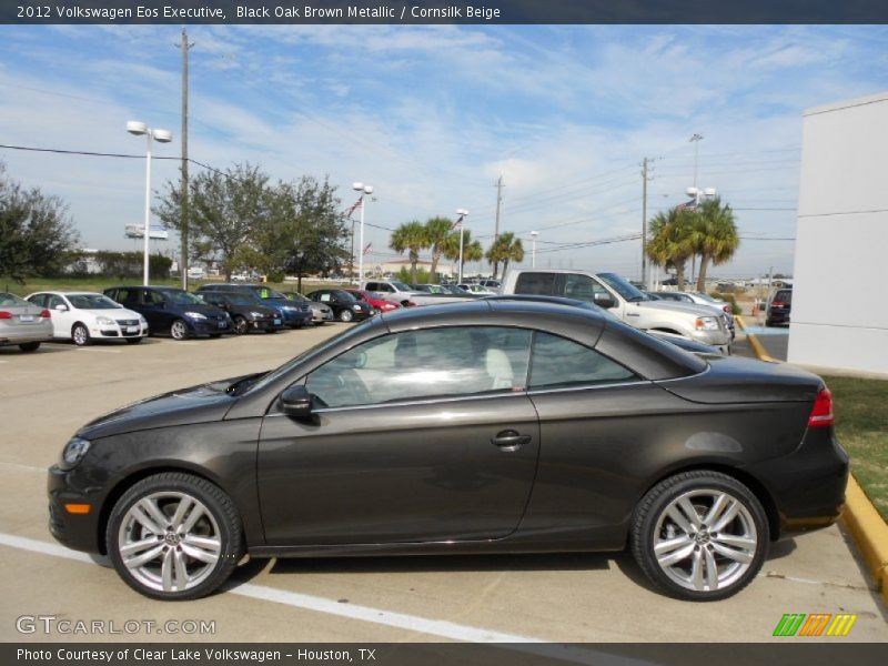 Black Oak Brown Metallic / Cornsilk Beige 2012 Volkswagen Eos Executive