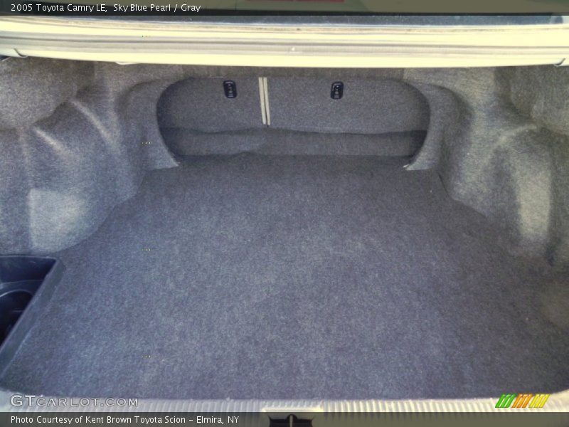 Sky Blue Pearl / Gray 2005 Toyota Camry LE