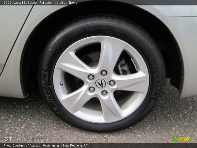 Palladium Metallic / Ebony 2009 Acura TSX Sedan