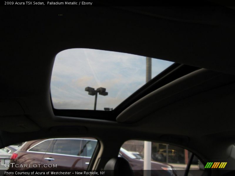 Palladium Metallic / Ebony 2009 Acura TSX Sedan