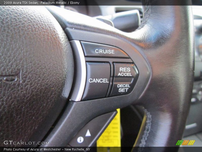 Palladium Metallic / Ebony 2009 Acura TSX Sedan