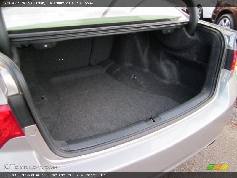 Palladium Metallic / Ebony 2009 Acura TSX Sedan