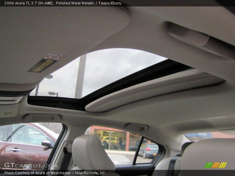 Polished Metal Metallic / Taupe/Ebony 2009 Acura TL 3.7 SH-AWD