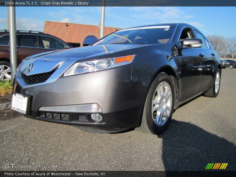 Grigio Gray Metallic / Ebony 2009 Acura TL 3.5