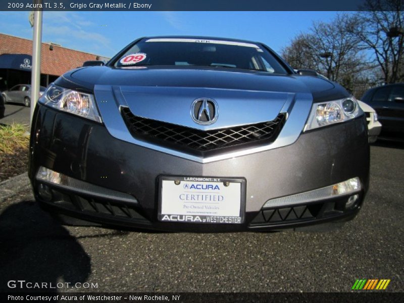 Grigio Gray Metallic / Ebony 2009 Acura TL 3.5
