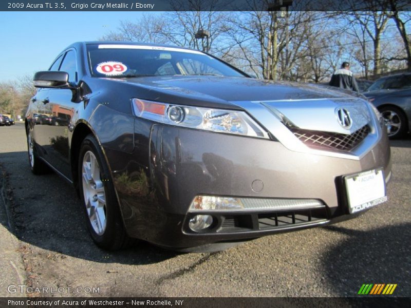 Grigio Gray Metallic / Ebony 2009 Acura TL 3.5