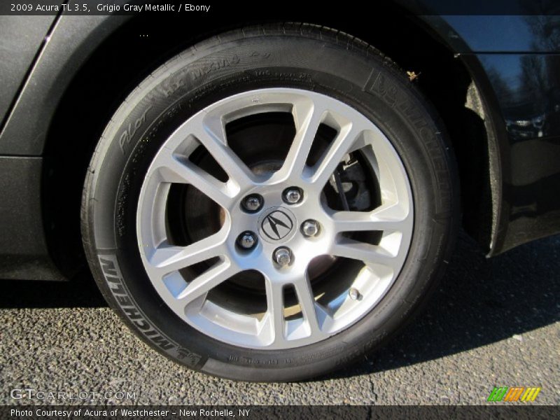 Grigio Gray Metallic / Ebony 2009 Acura TL 3.5