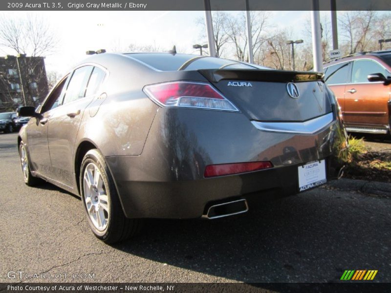 Grigio Gray Metallic / Ebony 2009 Acura TL 3.5