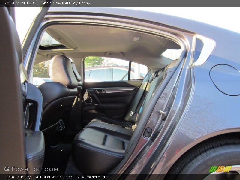 Grigio Gray Metallic / Ebony 2009 Acura TL 3.5