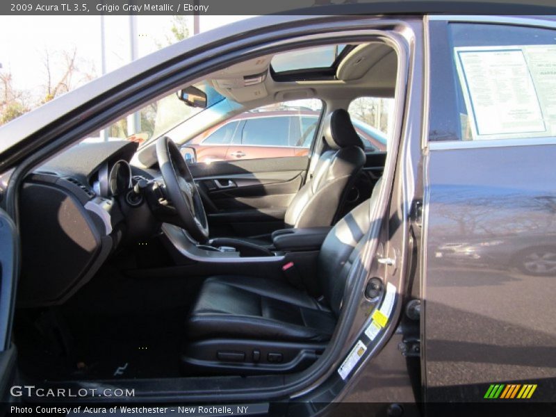 Grigio Gray Metallic / Ebony 2009 Acura TL 3.5