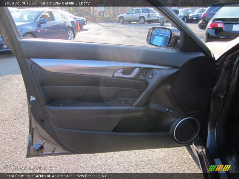 Grigio Gray Metallic / Ebony 2009 Acura TL 3.5