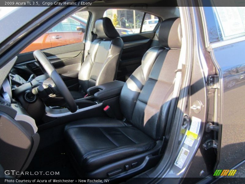 Grigio Gray Metallic / Ebony 2009 Acura TL 3.5