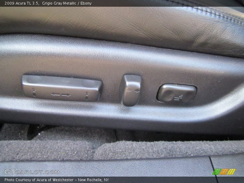 Grigio Gray Metallic / Ebony 2009 Acura TL 3.5