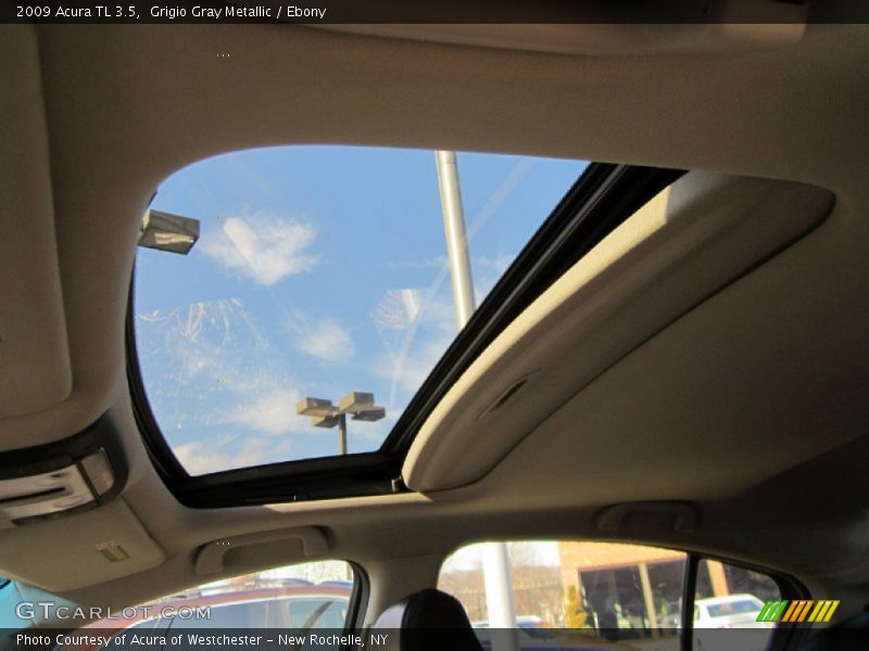 Grigio Gray Metallic / Ebony 2009 Acura TL 3.5