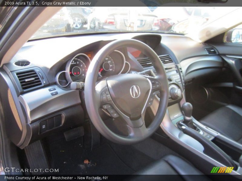 Grigio Gray Metallic / Ebony 2009 Acura TL 3.5