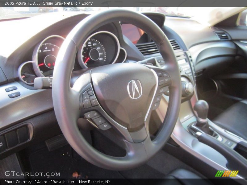 Grigio Gray Metallic / Ebony 2009 Acura TL 3.5