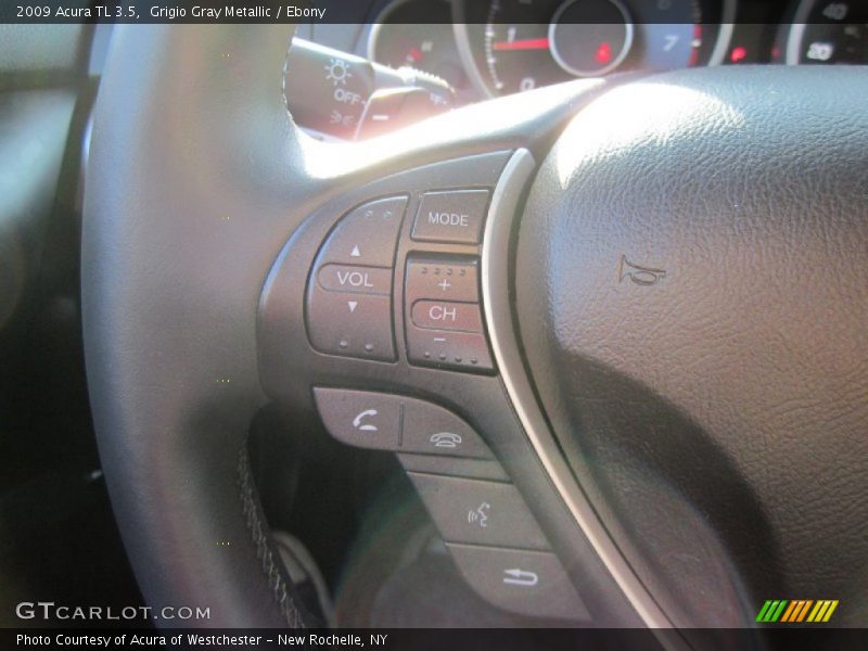 Grigio Gray Metallic / Ebony 2009 Acura TL 3.5